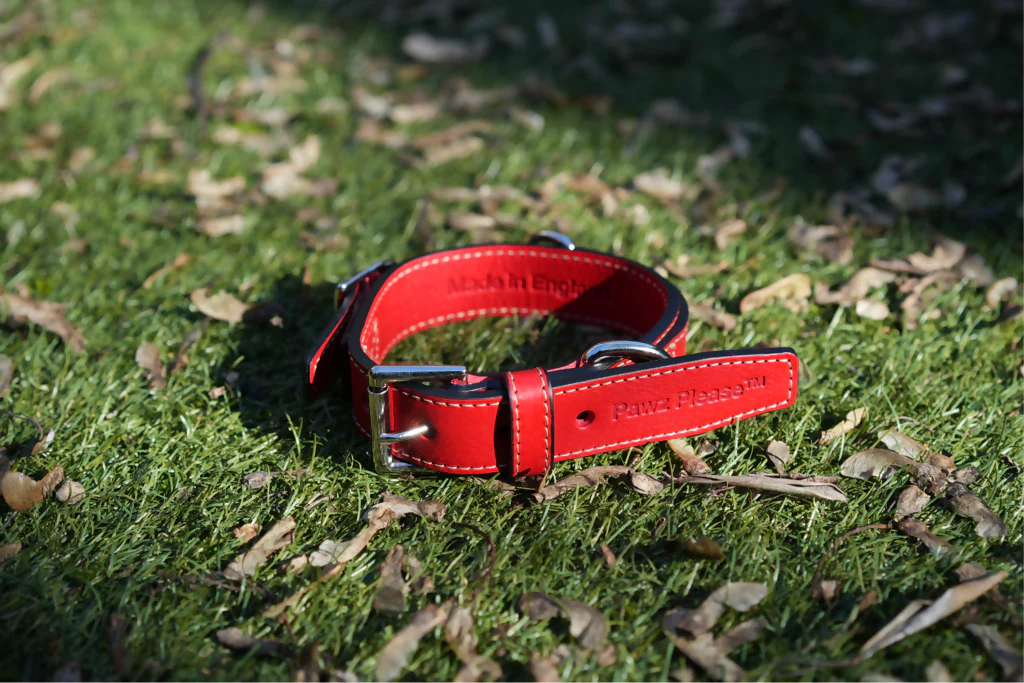 The Signature Leather Collection | Customisable Premium Italian Leather Collar in Black, Brown, Blue, or Red - Image 10