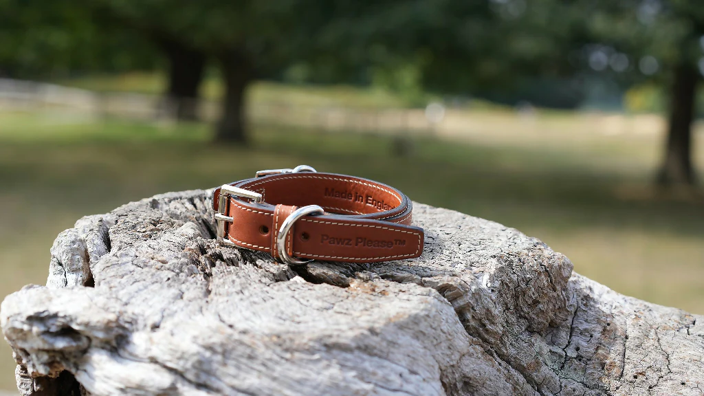 The Signature Leather Collection | Customisable Premium Italian Leather Collar in Black, Brown, Blue, or Red - Image 13