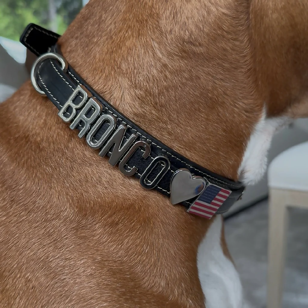 The Signature Leather Collection | Customisable Premium Italian Leather Collar in Black, Brown, Blue, or Red - Image 3