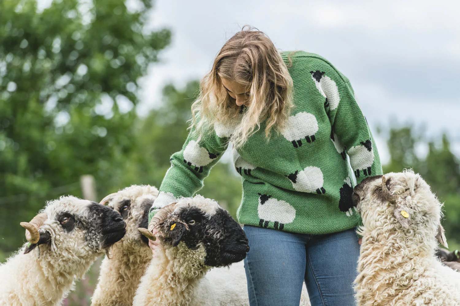 The Woolavington - Black Sheep Jumper - Dopamine Green - Image 6