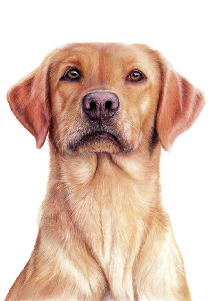 Three Gorgeous Greeting Cards - Image 5