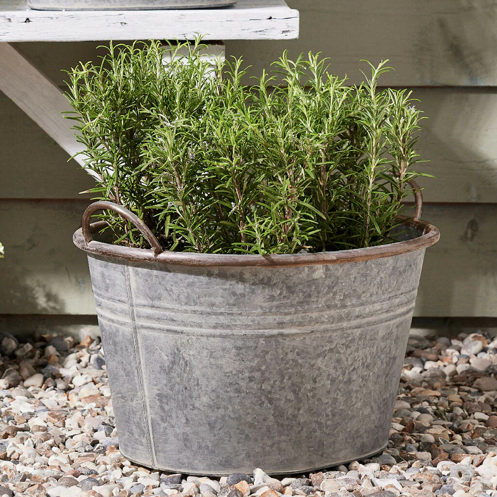 Traditional Galvanised Tub Summer Outdoor Garden Planter - Image 4