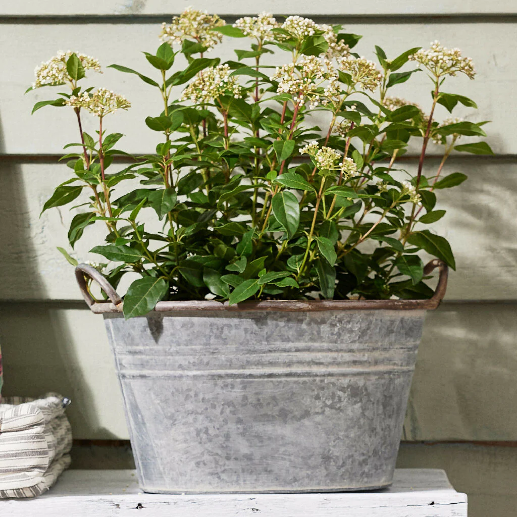 Traditional Galvanised Tub Summer Outdoor Garden Planter - Image 5