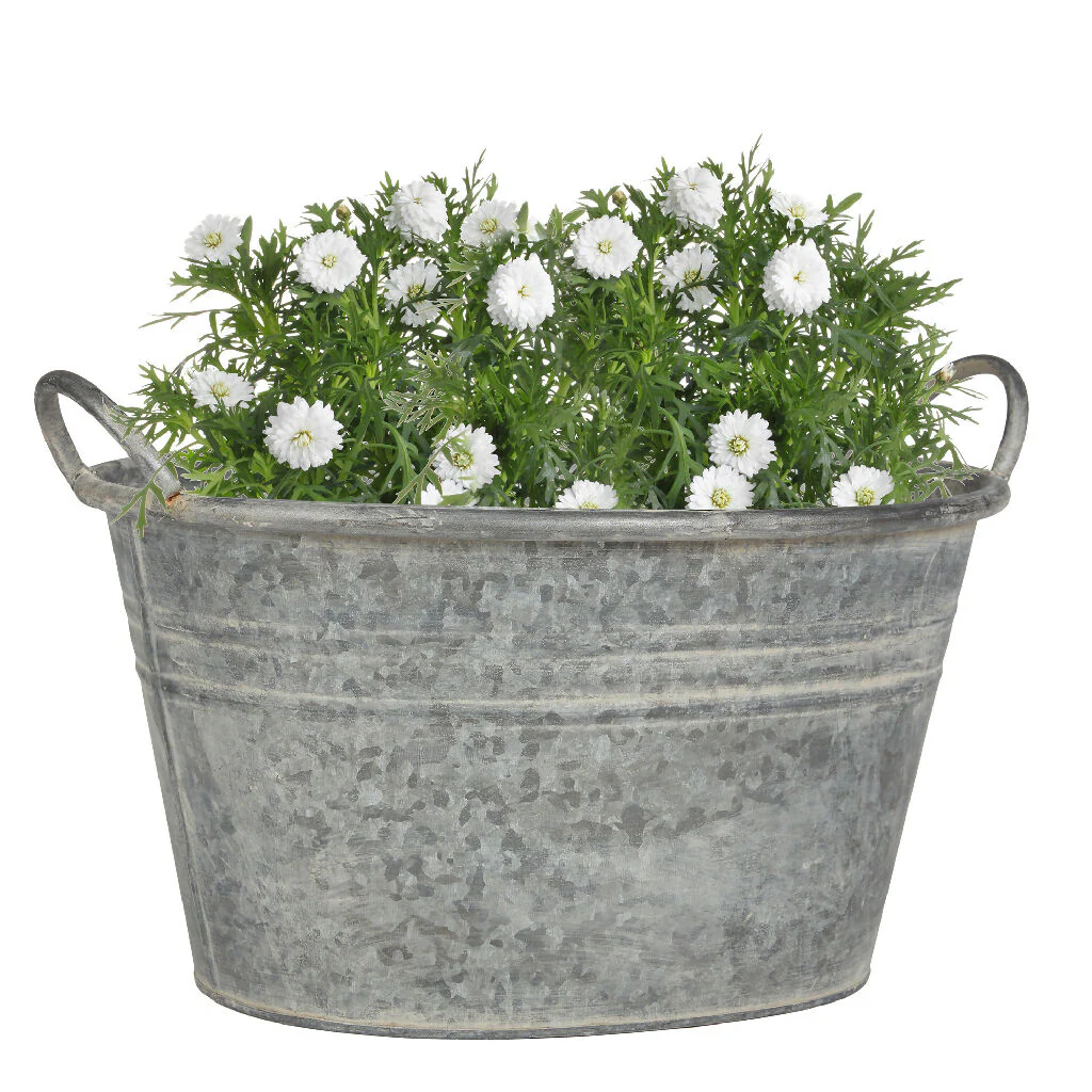 Traditional Galvanised Tub Summer Outdoor Garden Planter - Image 6