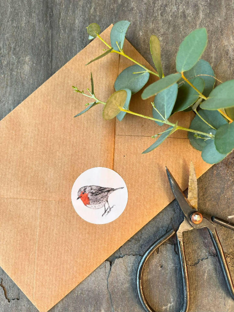 30 Traditional Robin Christmas Stickers - (15 per sheet)