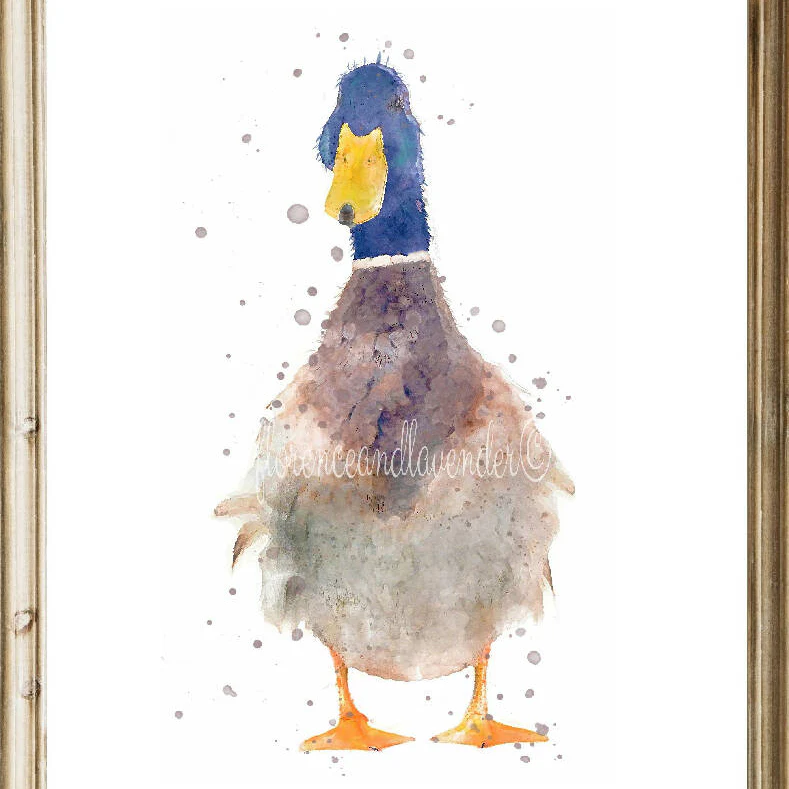 Trio Of Watercolour Duck Prints - Image 2