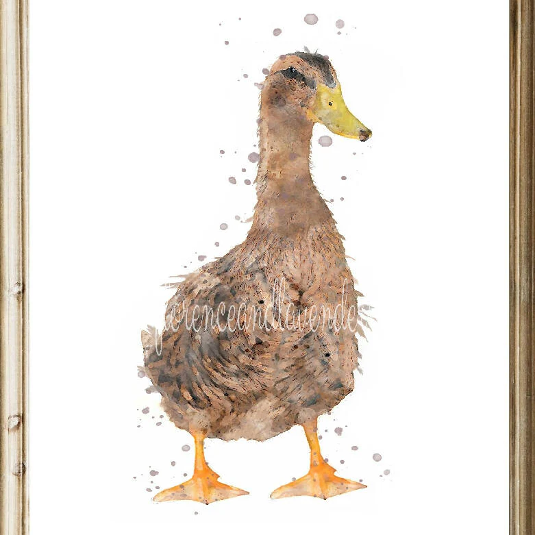 Trio Of Watercolour Duck Prints - Image 3