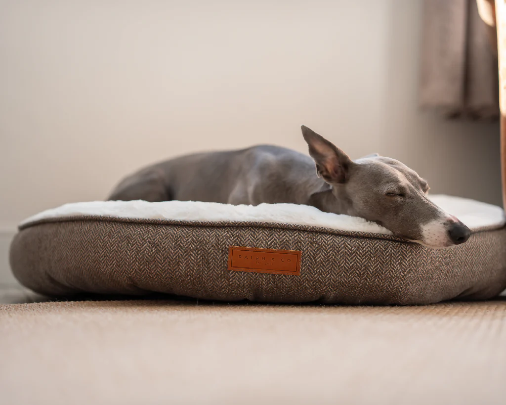 Tweed Calming Donut Bed With Removable Covers | Lincoln - Image 3