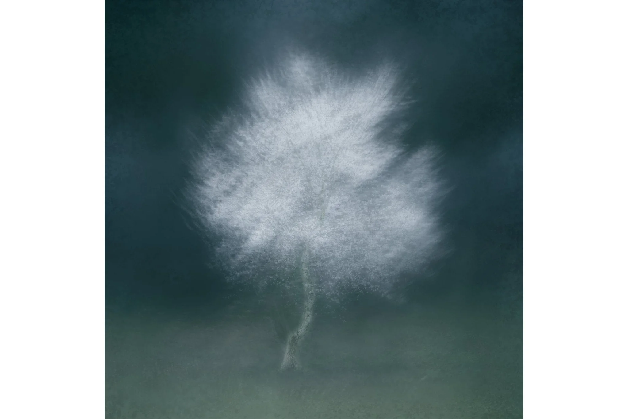 Calming Tree Artwork for Interiors 'Virva' - Image 4