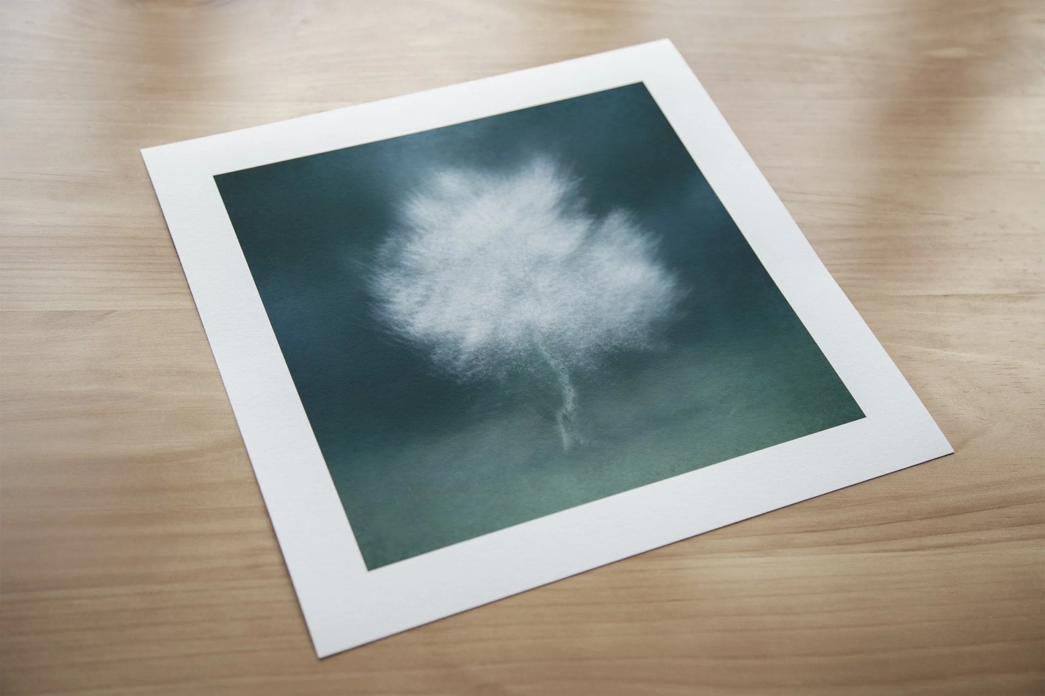 Calming Tree Artwork for Interiors 'Virva' - Image 5