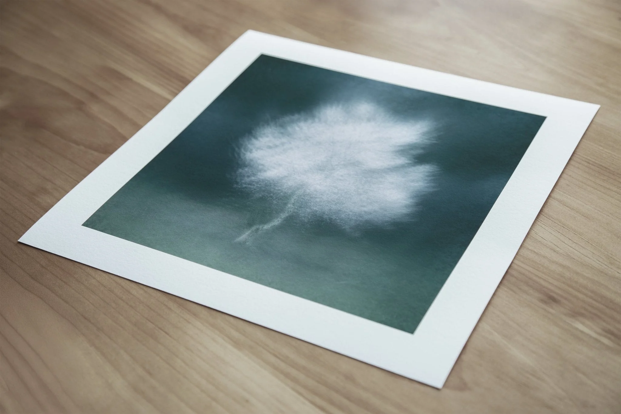 Calming Tree Artwork for Interiors 'Virva' - Image 7