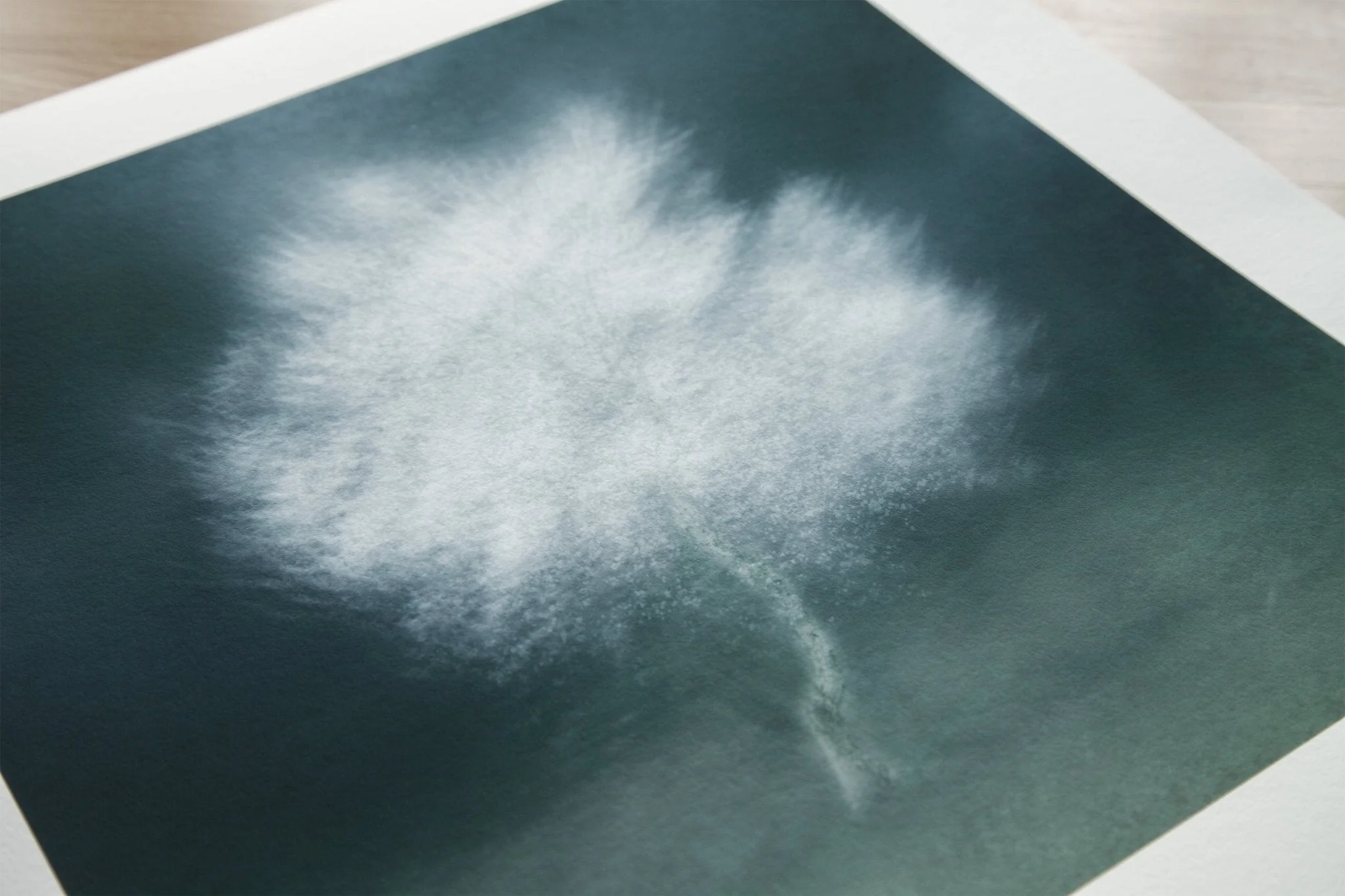 Calming Tree Artwork for Interiors 'Virva' - Image 9