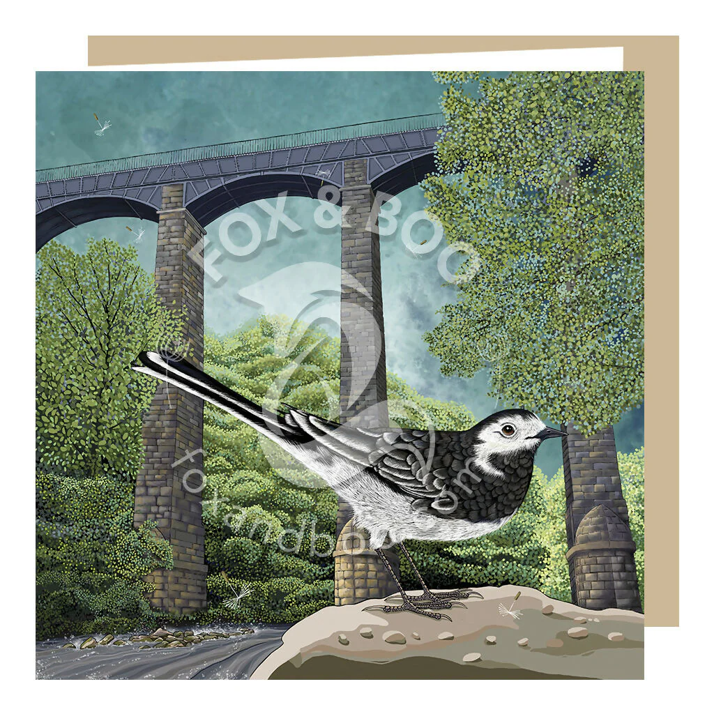 Wagtail at Pontcysyllte Greeting Card