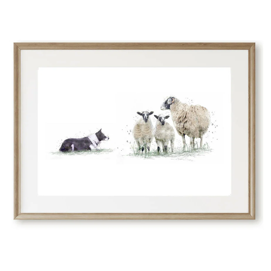 Watercolour Sheep Dog & Sheep Print - Image 2