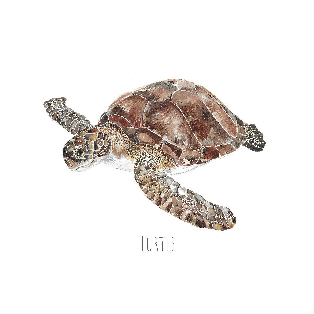 Watercolour Turtle Print - Image 4