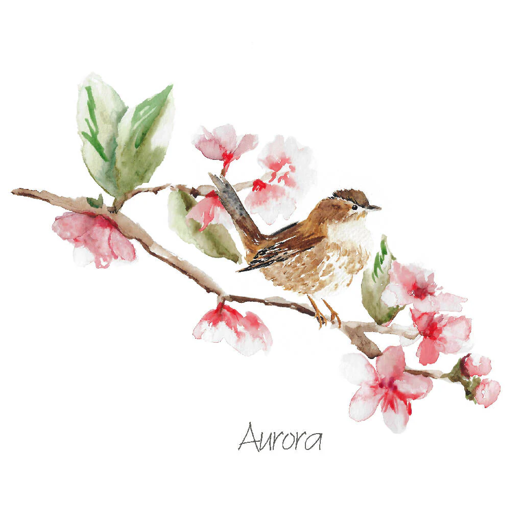 Watercolour Wren Art Print - Image 2