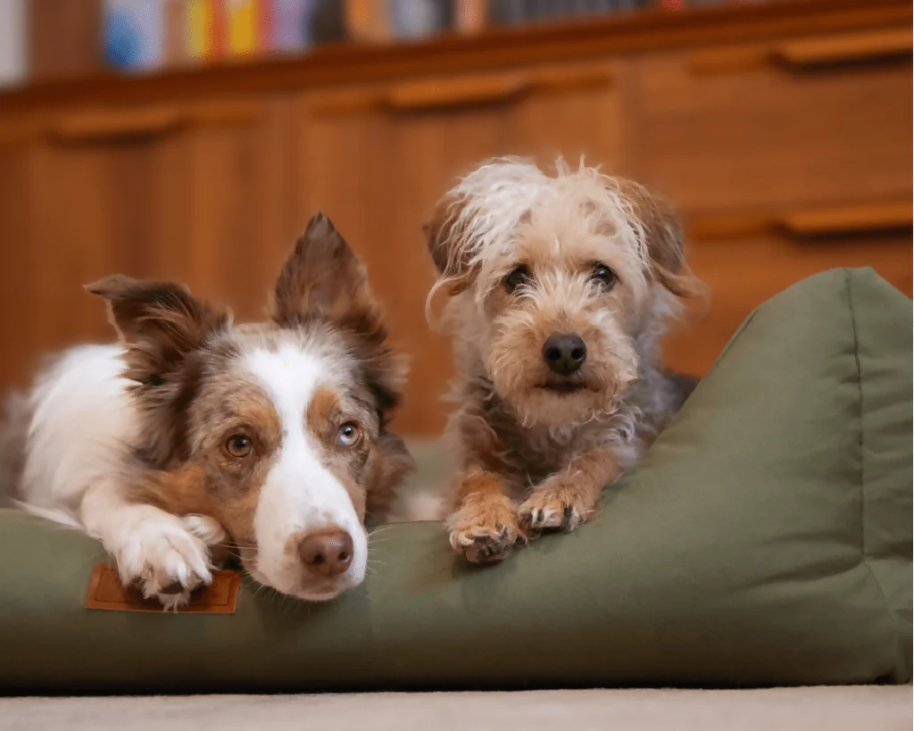 WATERPROOF & MEMORY FOAM DOG BED WITH REMOVABLE COVERS | HENLEY - Image 4