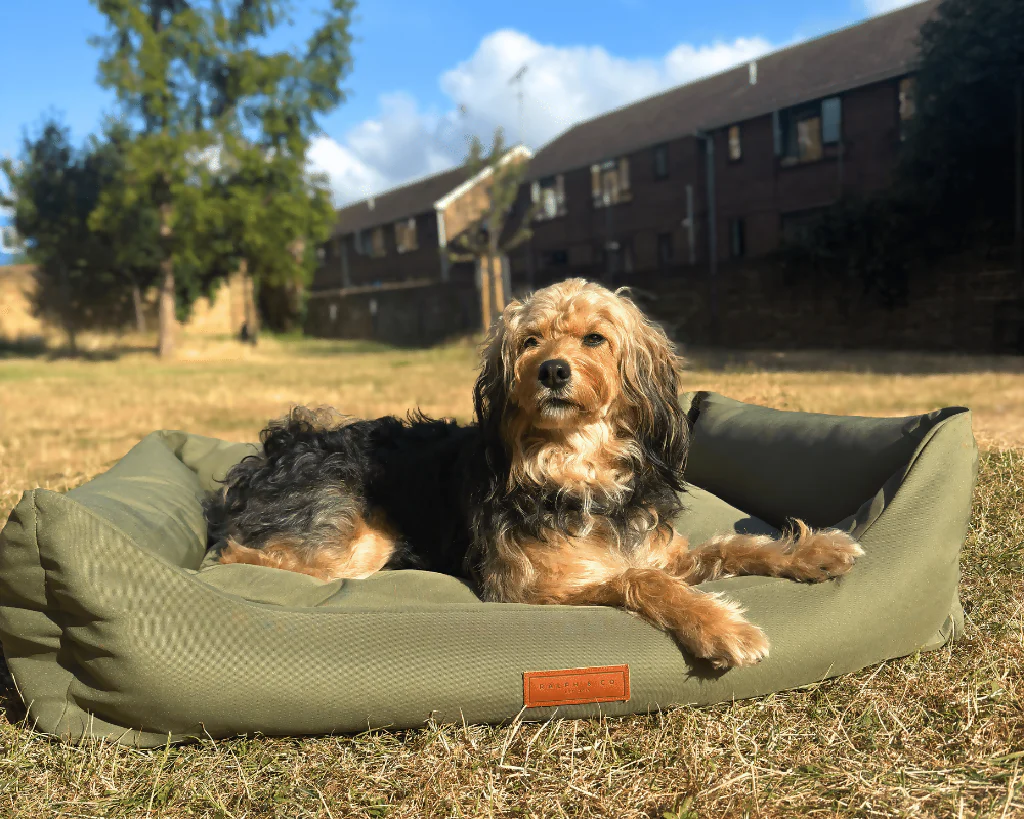 WATERPROOF & MEMORY FOAM DOG BED WITH REMOVABLE COVERS | HENLEY - Image 7
