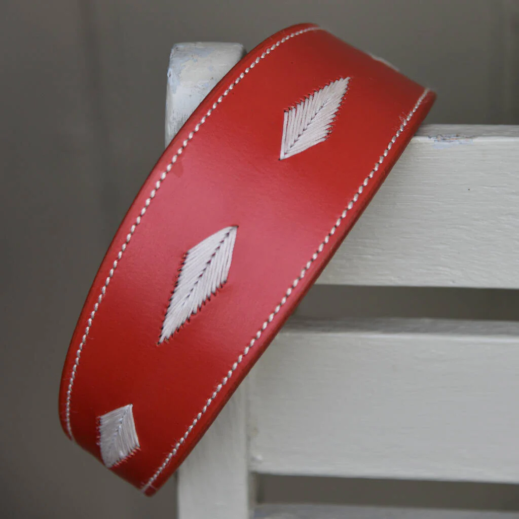 Whinlatter Hound Collar - Image 4