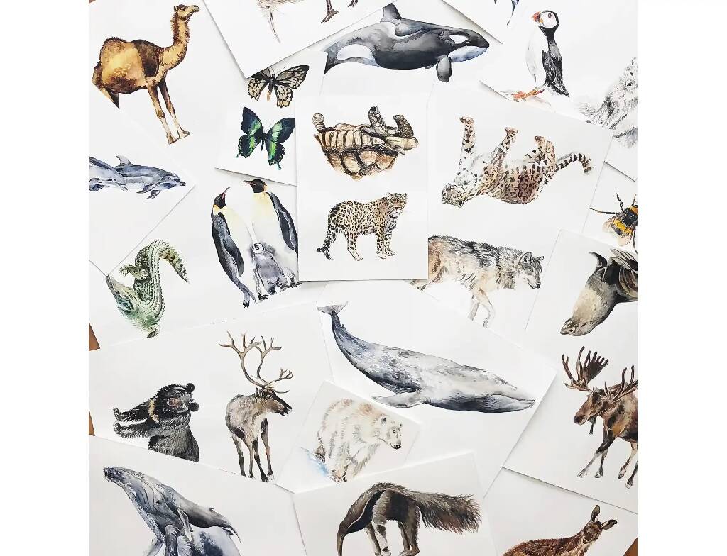 Wildlife World Map Watercolour Print - Image 6