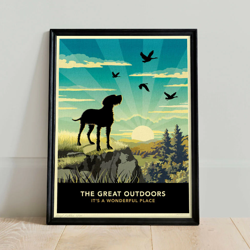 WIREHAIRED VISZLA 'THE GREAT OUTDOORS’ LIMITED EDITION ART PRINT - Image 5