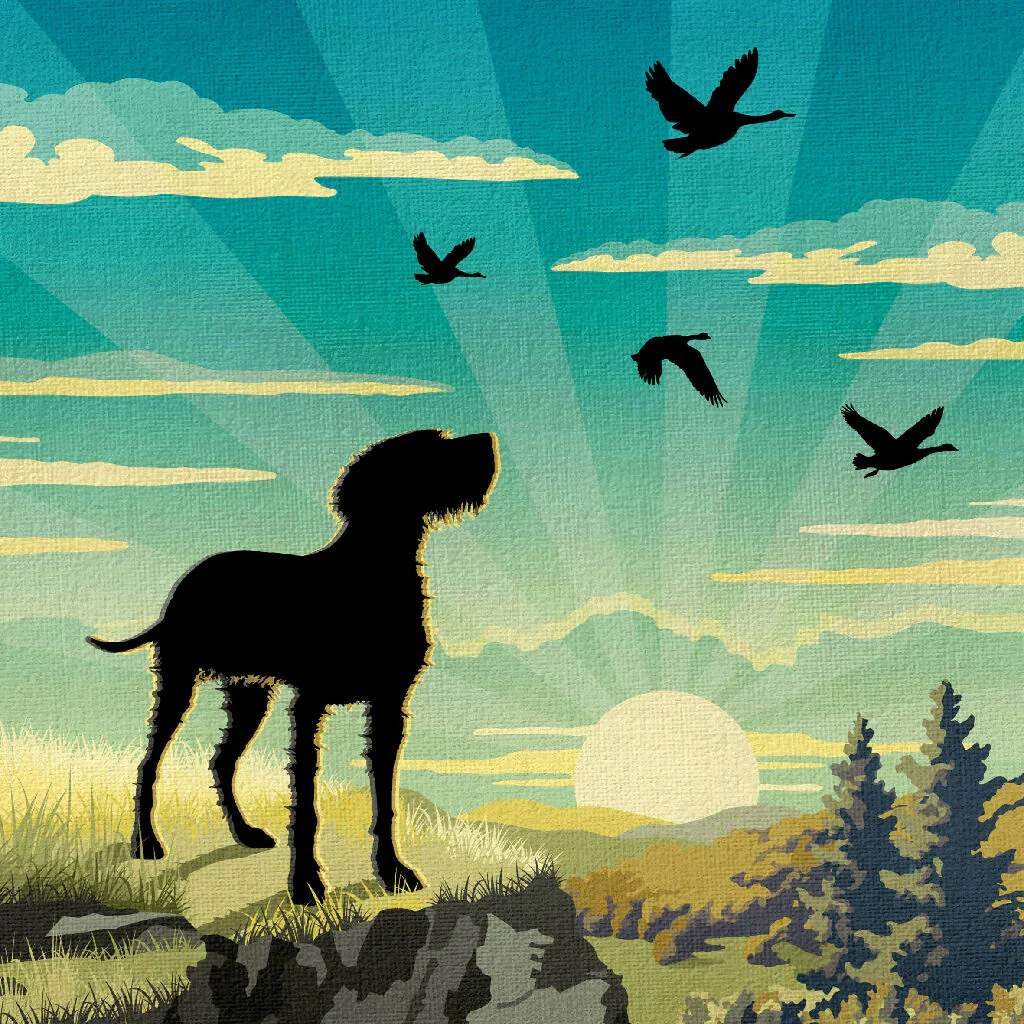 WIREHAIRED VISZLA 'THE GREAT OUTDOORS’ LIMITED EDITION ART PRINT - Image 7