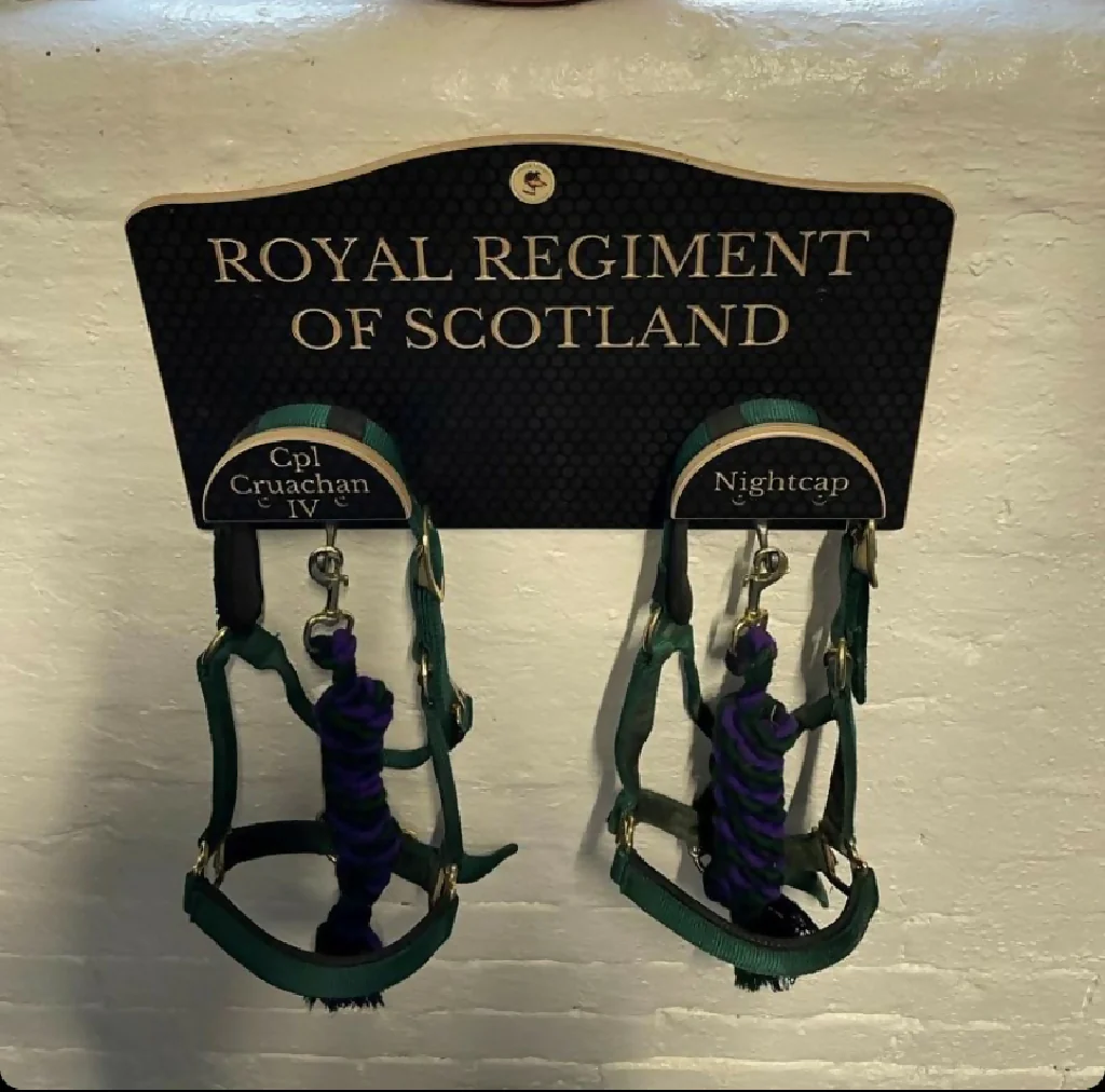 Wooden Deluxe Bridle Hanger - Image 5