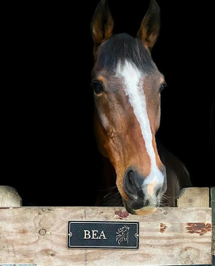 Wooden Engraved Stable Name Plaque - Image 4