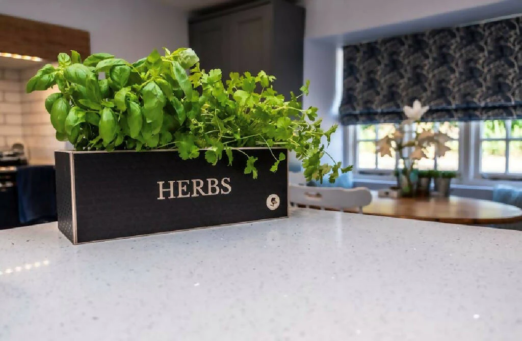 Wooden Herb Planter Kit - Image 10