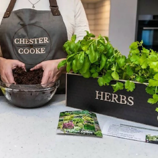 Wooden Herb Planter Kit - Image 5