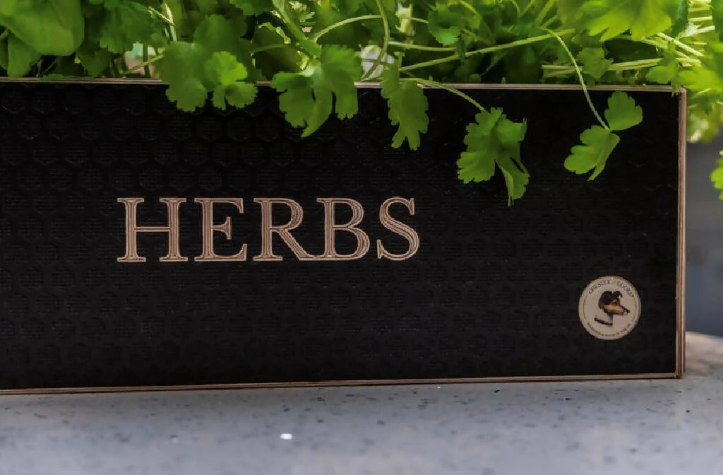 Wooden Herb Planter Kit - Image 7