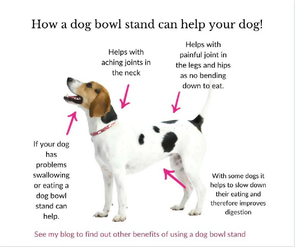 Wooden Raised Dog Bowl Stand - Image 14