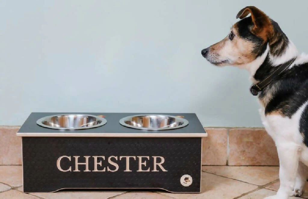 Wooden Raised Dog Bowl Stand - Image 2