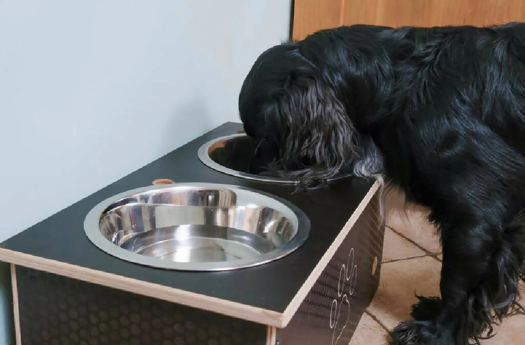 Wooden Raised Dog Bowl Stand - Image 7