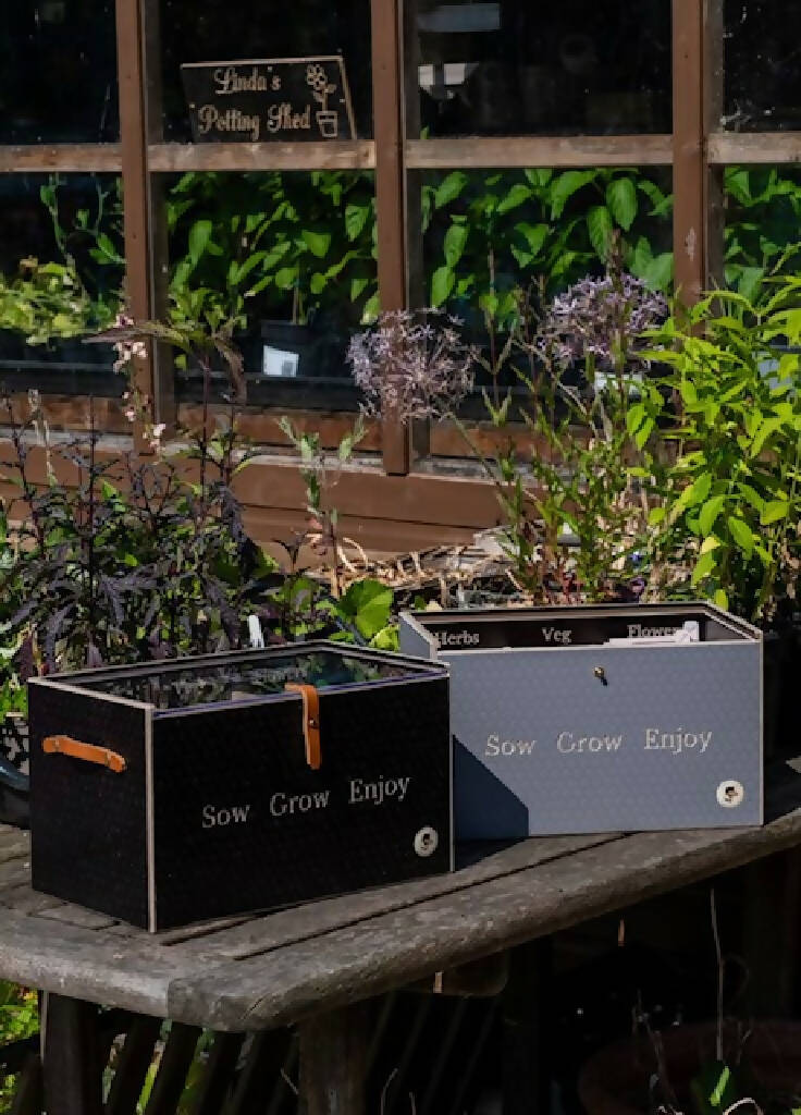 Wooden Seed Box - Image 10