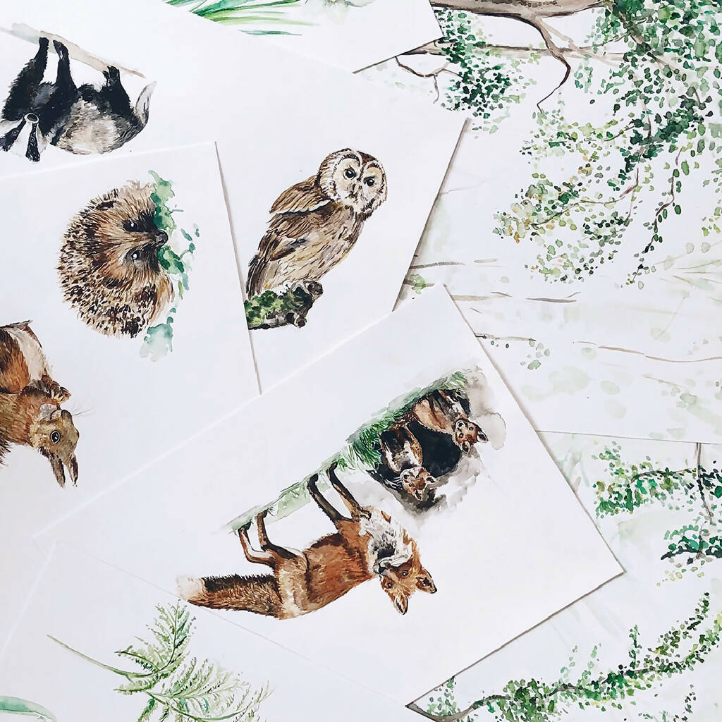 Woodland British Animals Children's Wallpaper - Image 4