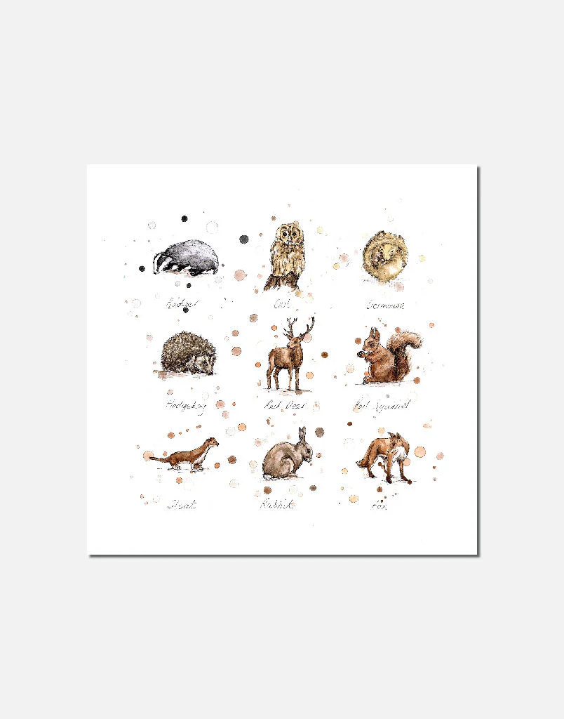 Woodland Wildlife | signed Limited Edition Print - Image 2