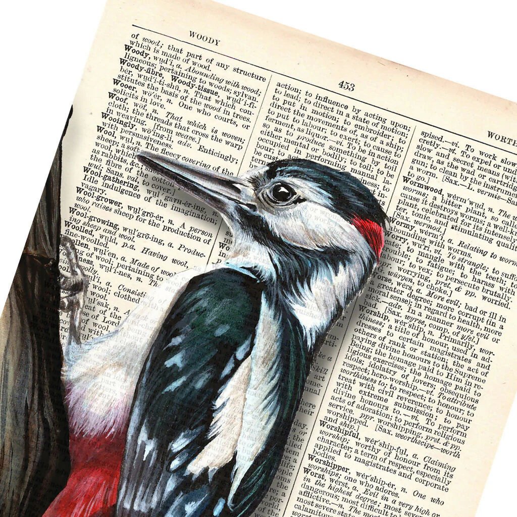 Woody - Woodpecker Print - Image 2