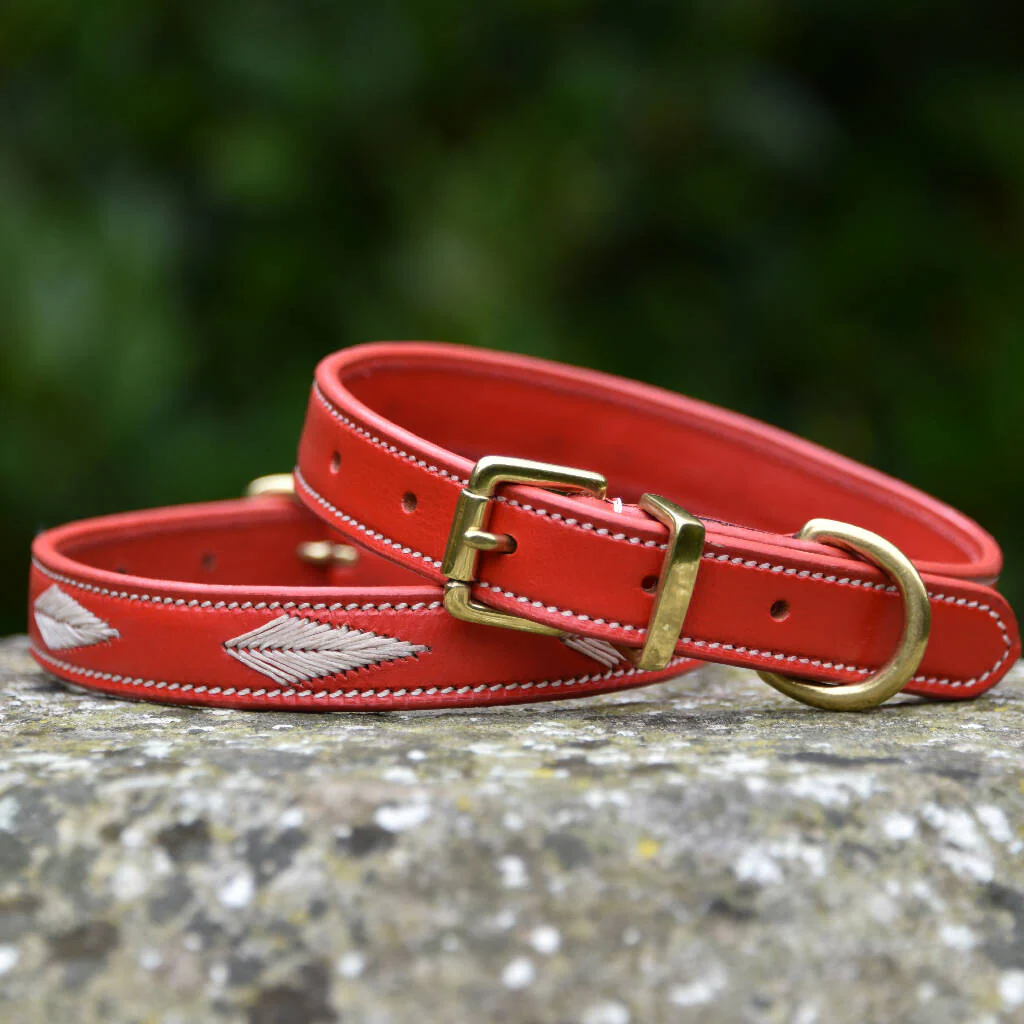 Woofgill Leather Dog Collar - Image 4