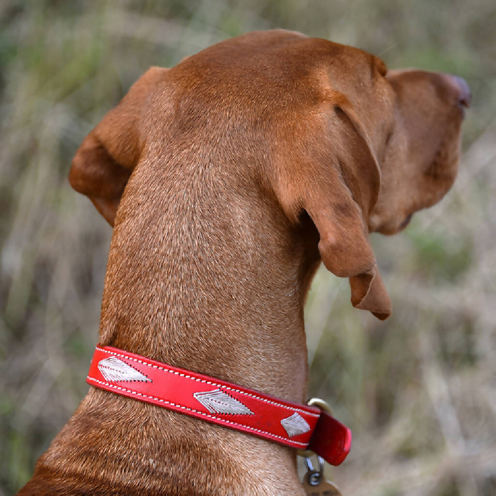 Woofgill Leather Dog Collar - Image 5