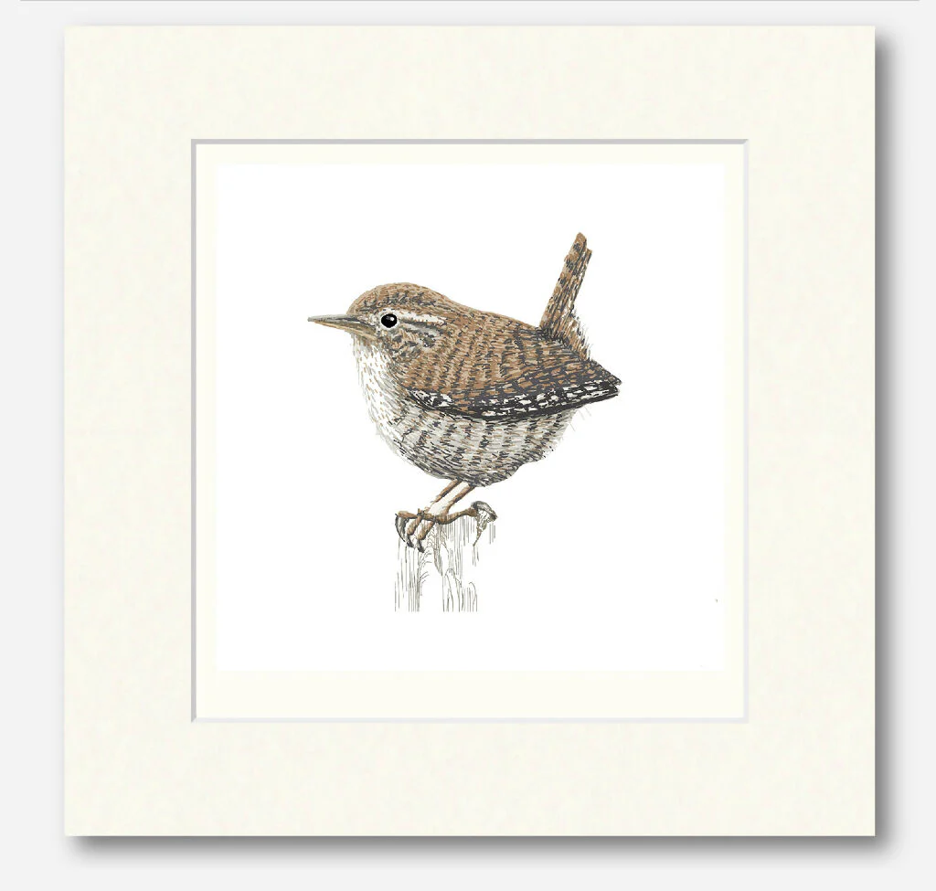 Wren Signed and Mounted Giclée Art Print - Image 4